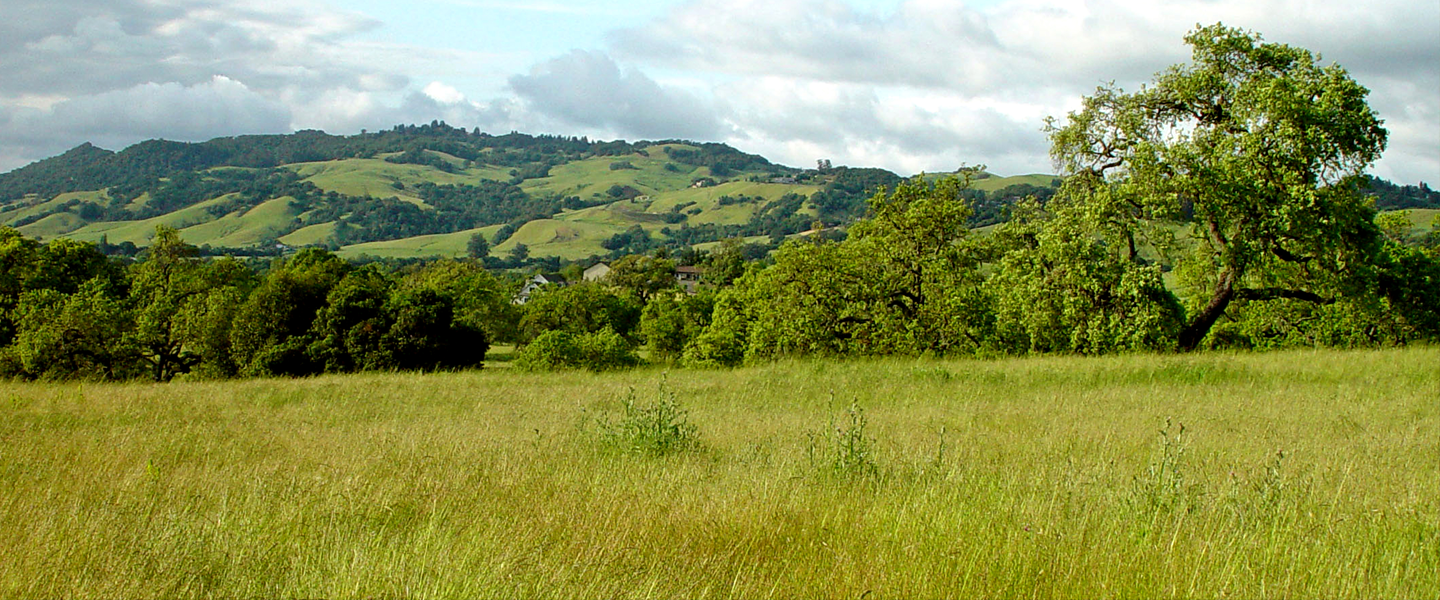 Sonoma hills, grassy field, and blue sky with clouds 