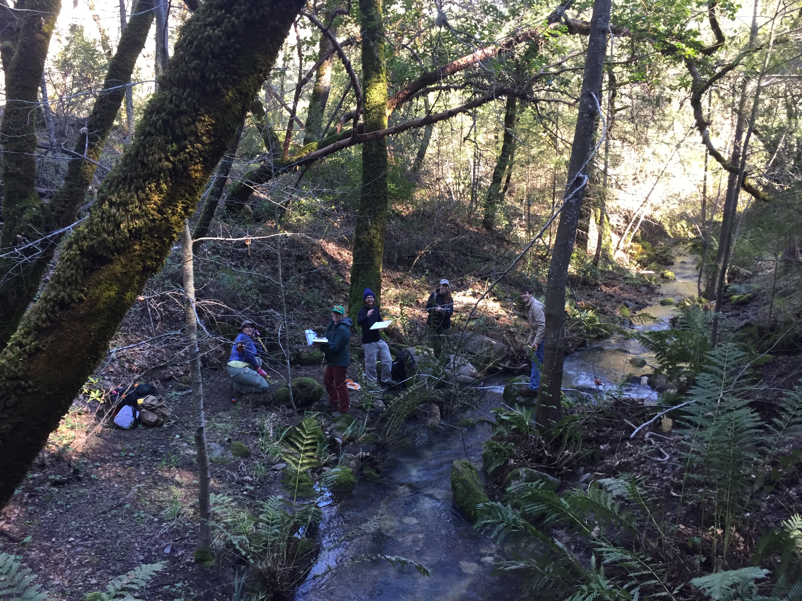 Spring 2019 interns recording a site at Las Posadas State Forest