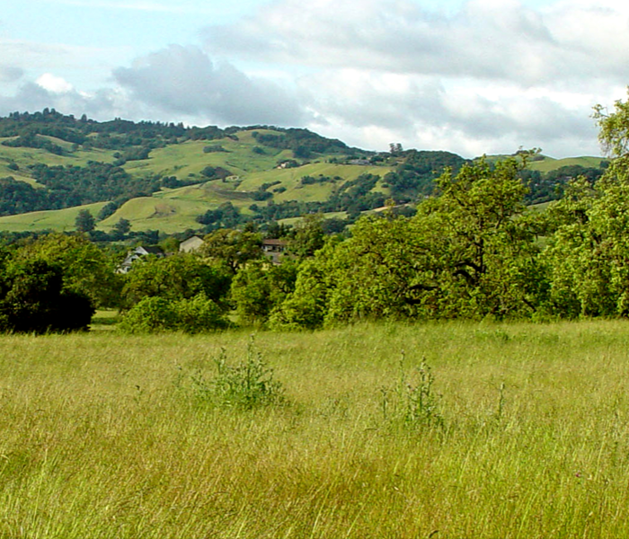 Sonoma hills, grassy field, and blue sky with clouds 