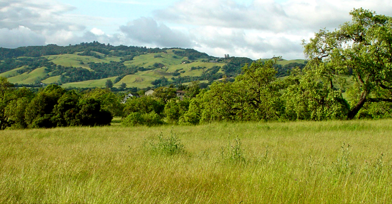 Sonoma hills, grassy field, and blue sky with clouds 