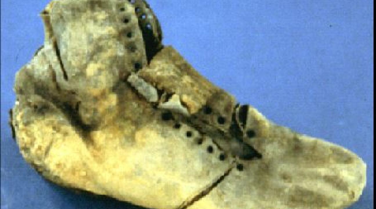 Woman's Strolling Boot