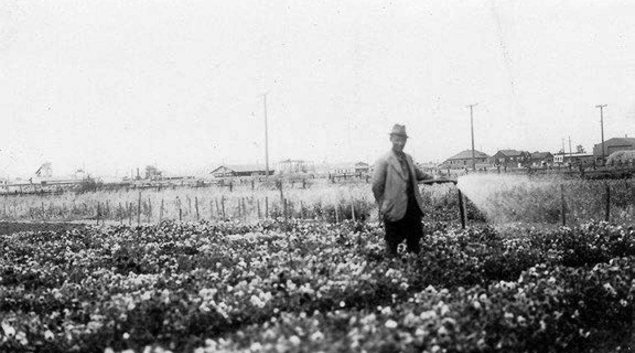 Shinzo Sharaki watering flowers
