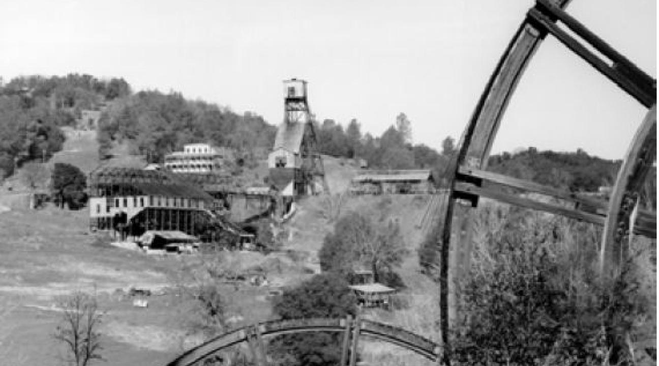 Tailings Wheels