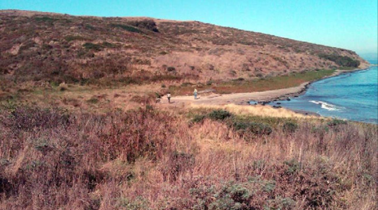 Field Team Assessment
