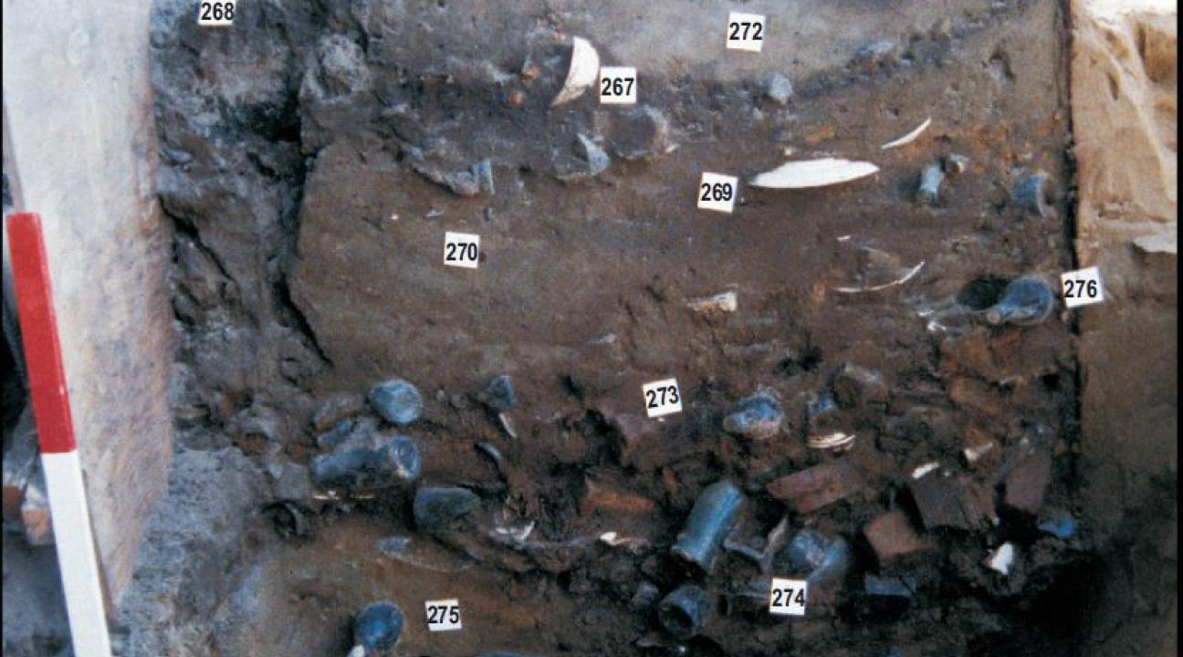 Privy excavation, liquor-porting Buckley family