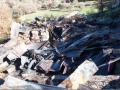 Curnow Ranch Cellar Destruction