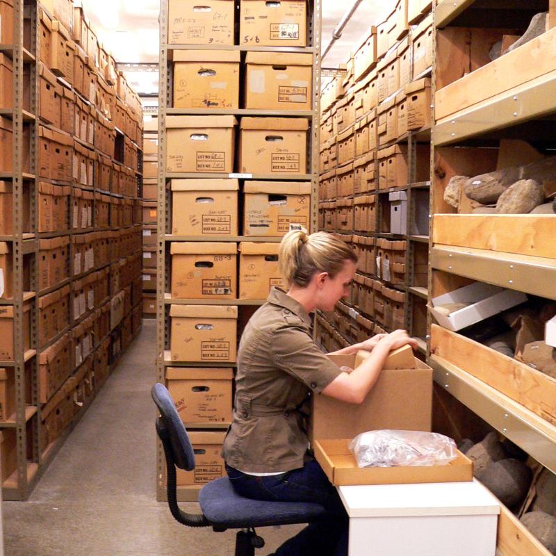 Staff member working in collections