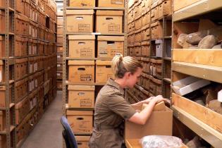 Staff member working in collections