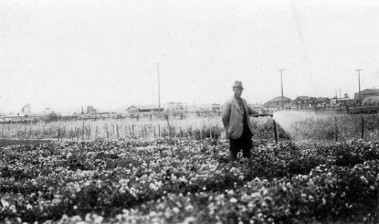 Shinzo Sharaki watering flowers