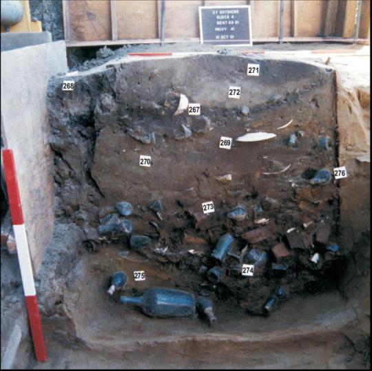 Privy excavation, liquor-porting Buckley family